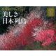 美しき日本列島カレンダー 2018 [単行本]