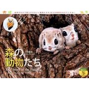 森の動物たちカレンダー 2018 [単行本]