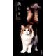 美しき猫カレンダー 2018 [単行本]
