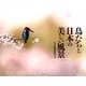 鳥たちと日本の美しい風景カレンダー 2018 [単行本]