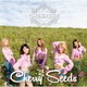CHERRSEE／Cherry Seeds