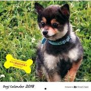犬カレンダー 2018 [カレンダー]