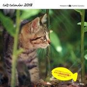 猫カレンダー 2018 [カレンダー]