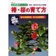 盆栽樹種別シリーズ10 椿・桜の育て方 KBムック [ムック]