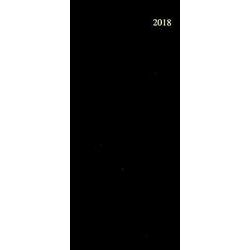 113 ビジネスプランオリジナル(黒) 2018 [単行本]