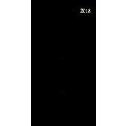 273 ディレクター(黒) 2018 [単行本]