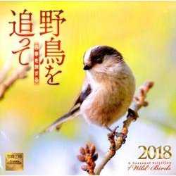 野鳥を追って 四季を旅するカレンダー 2018 [カレンダー]