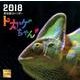 トカゲちゃん 爬虫類カレンダー 2018 [カレンダー]