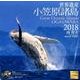 世界遺産小笠原諸島カレンダー 2018 [カレンダー]