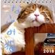 なごみ猫週めくりカレンダー 2018 [単行本]