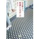 10日暮らし、特濃シンガポール [単行本]