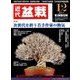 近代盆栽 2017年 12月号 [雑誌]