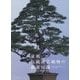 盆栽・伝統園芸植物の鑑賞知識-銘品、器、伝統と歴史、見方のルールを知る [単行本]