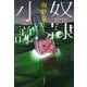 奴隷小説 （文春文庫） [文庫]