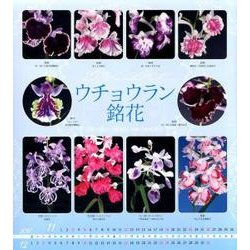 ウチョウラン銘花カレンダー 2018 [カレンダー]
