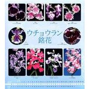 ウチョウラン銘花カレンダー 2018 [カレンダー]