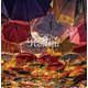 Roselia／ONENESS