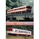 鉄道アーカイブシリーズ 山田線・岩泉線の車両たち [DVD]
