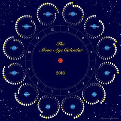月のカレンダー　The Moon Age Calendar 2018 [カレンダー]