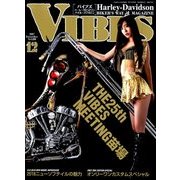 VIBES (バイブス) 2017年 12月号 [雑誌]