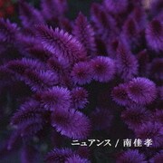 ニュアンス