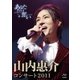 山内惠介／山内惠介コンサート2011～あなたとの誓い～ [Blu-ray Disc]
