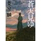 蒼天見ゆ(角川文庫) [文庫]