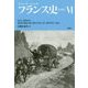 フランス史 6 [単行本]