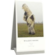 WILDER MANNカレンダー 2018 [カレンダー]
