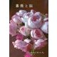 薔薇と脳 [単行本]