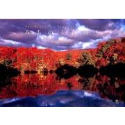 みちのく色語り－THE BEAUTIFUL SEASONS OF TOHOKU [単行本]