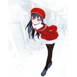 貴方がわたしを好きになる自信はありませんが、わたしが貴方を好きになる自信はあります(ダッシュエックス文庫) [文庫]