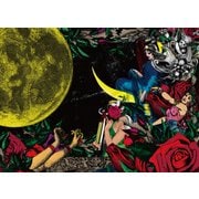夜、カルメンの詩集