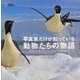 動物たちの物語―写真家だけが知っている [単行本]