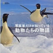 動物たちの物語―写真家だけが知っている [単行本]