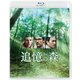 追憶の森 スペシャル・プライス [Blu-ray Disc]