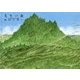 光年の森(ビッグコミックススペシャル) [単行本]