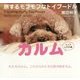 旅するモフモフなトイプードル カルム―スイス&日本編 [単行本]