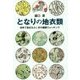 となりの地衣類―地味で身近なふしぎの菌類ウォッチング [単行本]