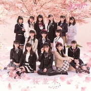 桜並木