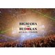 BIGMAMA／BIGMAMA in BUDOKAN [DVD]