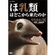 生命進化の謎 LIFE ON EARTH, A NEW PREHISTORY ほ乳類はどこから来たのか [DVD]