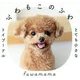 ふわもこのふわ―とても小さなトイプードル [単行本]