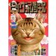ビッグコミックオリジナル 2018年 1/5号 [雑誌]