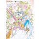 中山星香デビュー40周年記念原画集 薔薇色花月 [ムック・その他]