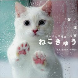 ぷにぷに肉球まつり ねこきゅう [単行本]