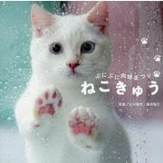 ぷにぷに肉球まつり ねこきゅう [単行本]