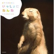 おやすみえほん いっしょにねんね [絵本]