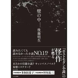 壁の中 [単行本]