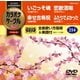 超厳選 カラオケサークルW ベスト4 [DVD]